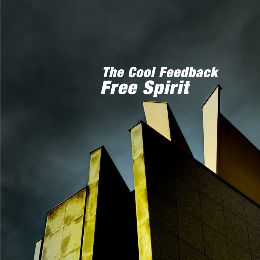 pochette du vinyle The Cool Feedback - Free Spirit